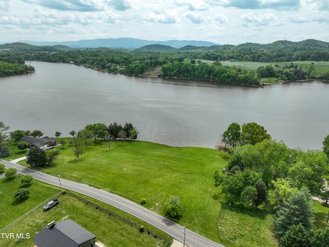 604 Sugar Hollow Rd, Piney Flats, TN 37686 - photo 14