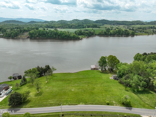 604 Sugar Hollow Rd, Piney Flats, TN 37686 - photo 15