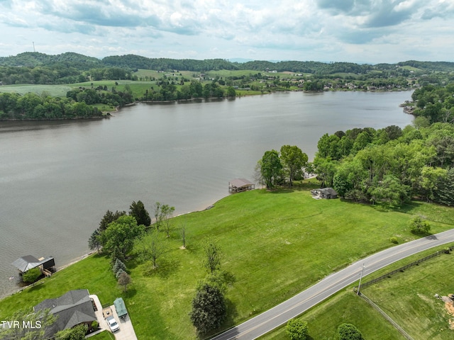 604 Sugar Hollow Rd, Piney Flats, TN 37686 - photo 16