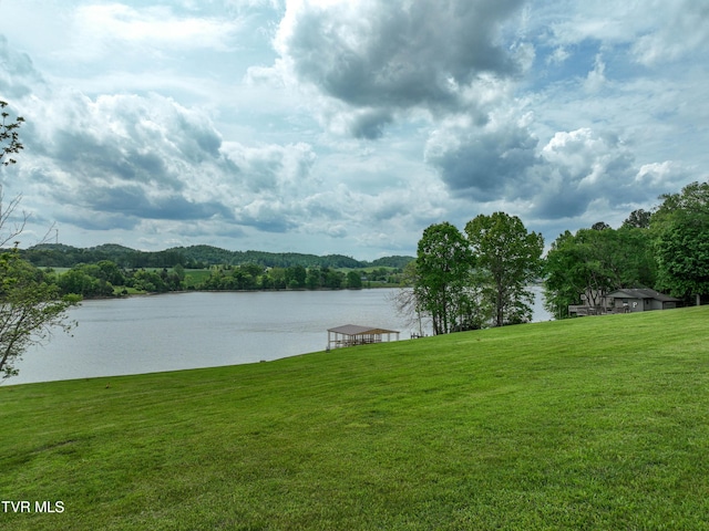 604 Sugar Hollow Rd, Piney Flats, TN 37686 - photo 19
