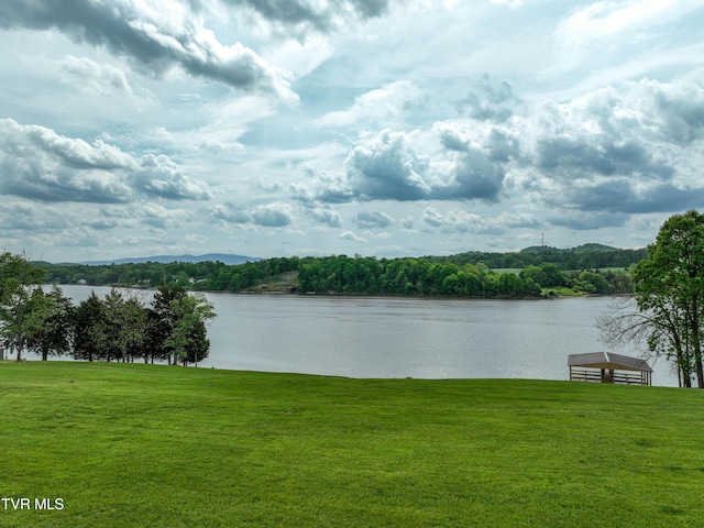604 Sugar Hollow Rd, Piney Flats, TN 37686 - photo 20