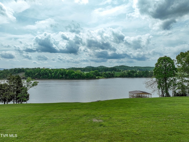 604 Sugar Hollow Rd, Piney Flats, TN 37686 - photo 21