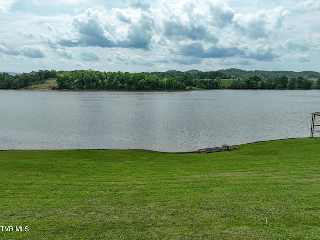 604 Sugar Hollow Rd, Piney Flats, TN 37686 - photo 22