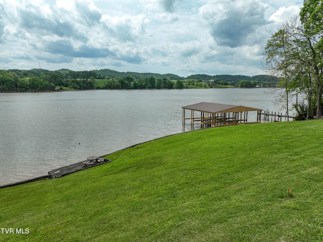 604 Sugar Hollow Rd, Piney Flats, TN 37686 - photo 23
