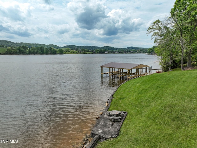 604 Sugar Hollow Rd, Piney Flats, TN 37686 - photo 24