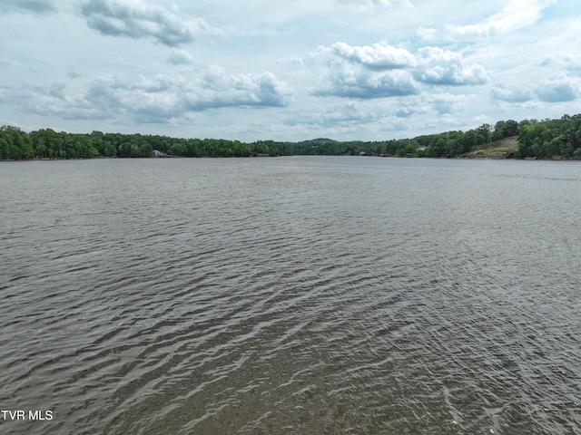 604 Sugar Hollow Rd, Piney Flats, TN 37686 - photo 27