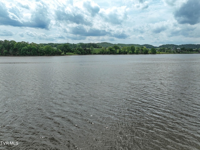 604 Sugar Hollow Rd, Piney Flats, TN 37686 - photo 28