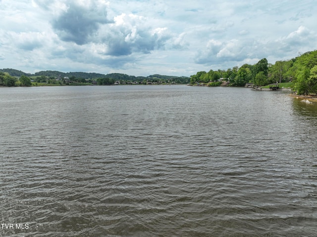 604 Sugar Hollow Rd, Piney Flats, TN 37686 - photo 29
