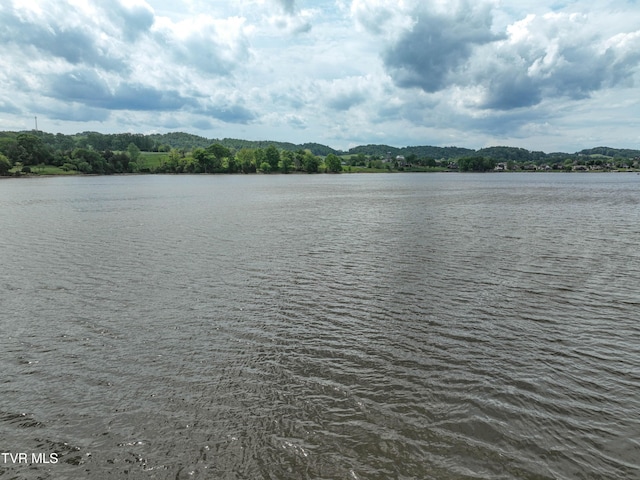 604 Sugar Hollow Rd, Piney Flats, TN 37686 - photo 30