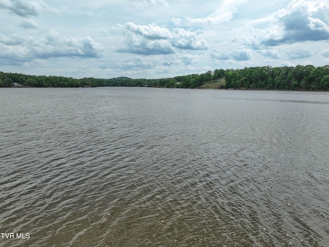 604 Sugar Hollow Rd, Piney Flats, TN 37686 - photo 31