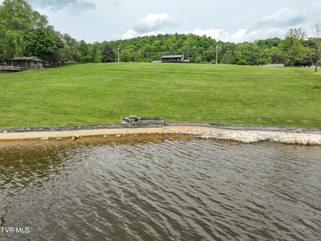 604 Sugar Hollow Rd, Piney Flats, TN 37686 - photo 32
