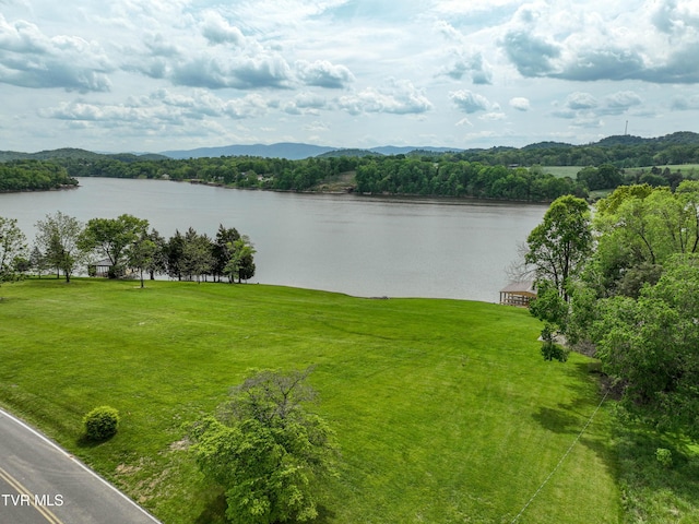604 Sugar Hollow Rd, Piney Flats, TN 37686 - photo 33