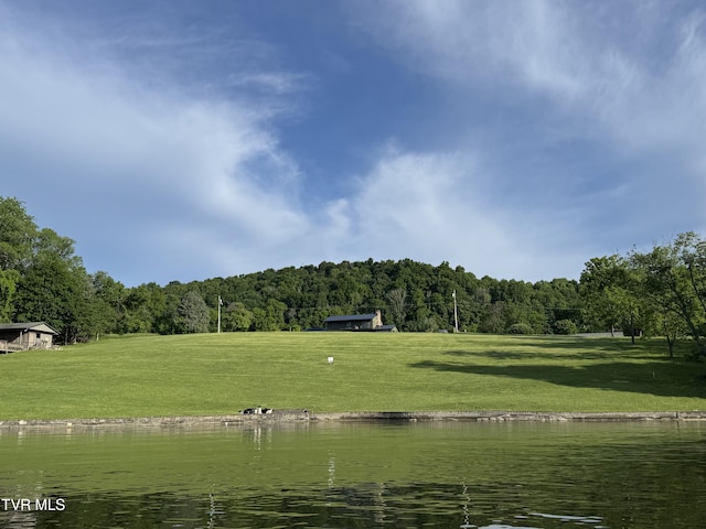 604 Sugar Hollow Rd, Piney Flats, TN 37686 - photo 34