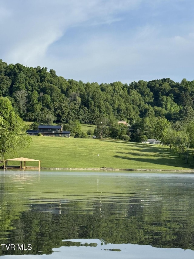 604 Sugar Hollow Rd, Piney Flats, TN 37686 - photo 35