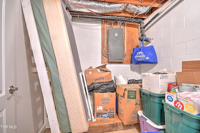 storage room with electric panel