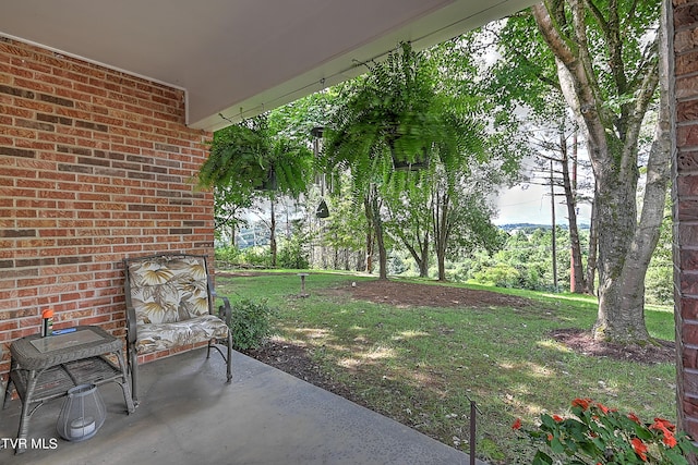 view of yard featuring a patio