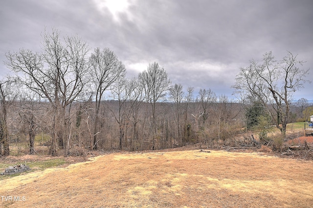 view of local wilderness