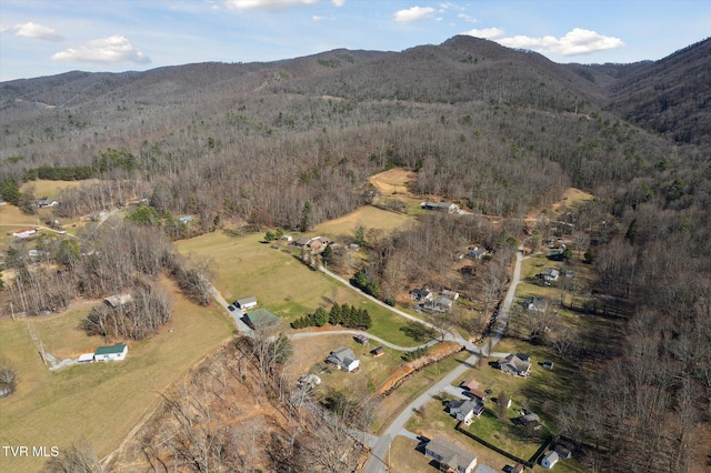 drone / aerial view featuring a mountain view and a view of trees