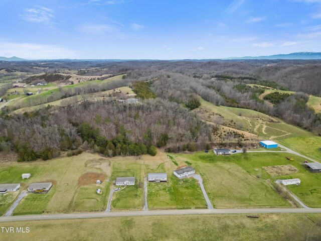 drone / aerial view with a mountain view