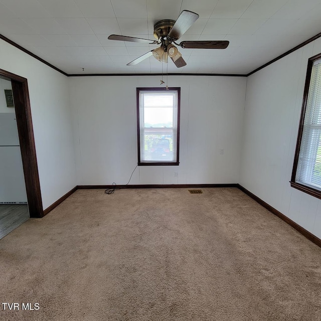 204 Highland Ave, Glade Spring, VA 24340 - carpeted spare room featuring plenty of natural light, a ceiling fan, and ornamental molding