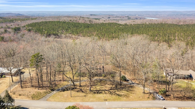 birds eye view of property featuring a view of trees