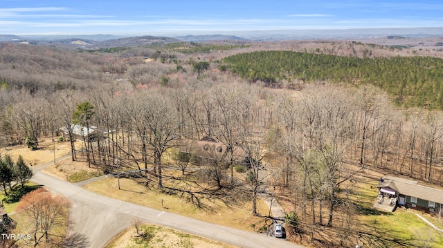 birds eye view of property featuring a mountain view and a forest view