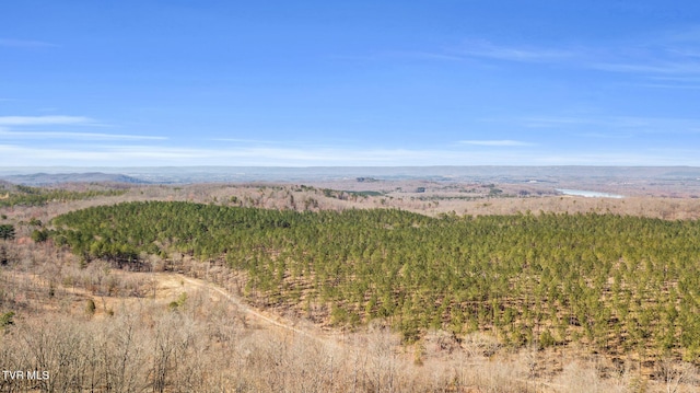 birds eye view of property featuring a mountain view and a wooded view