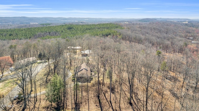 drone / aerial view featuring a forest view and a mountain view