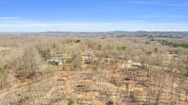 view of mountain feature