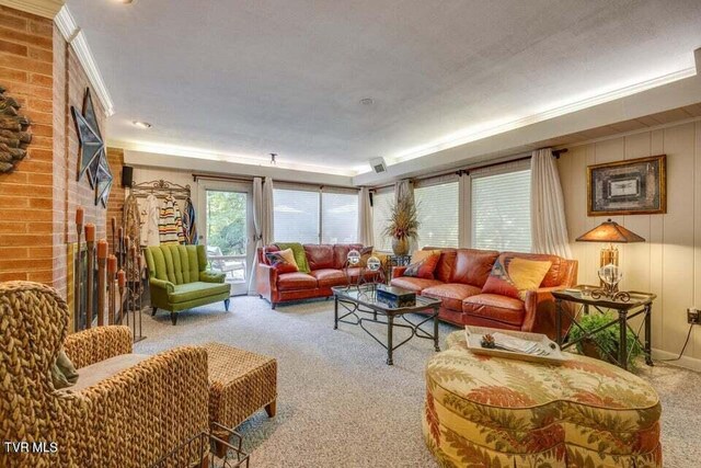 living area featuring carpet and ornamental molding