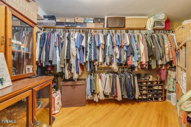 walk in closet with wood finished floors