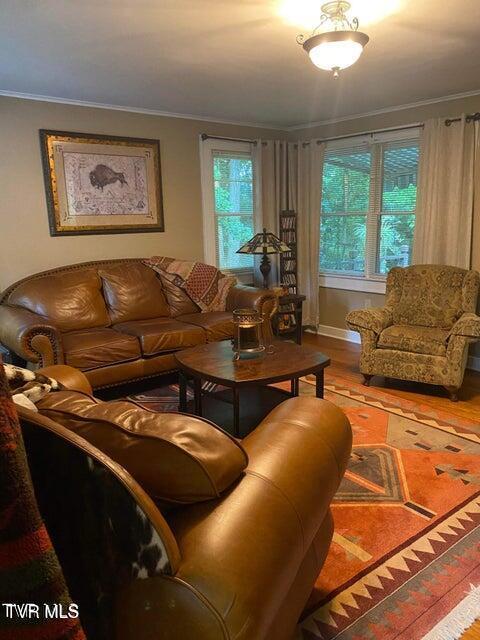 living room featuring wood finished floors and ornamental molding