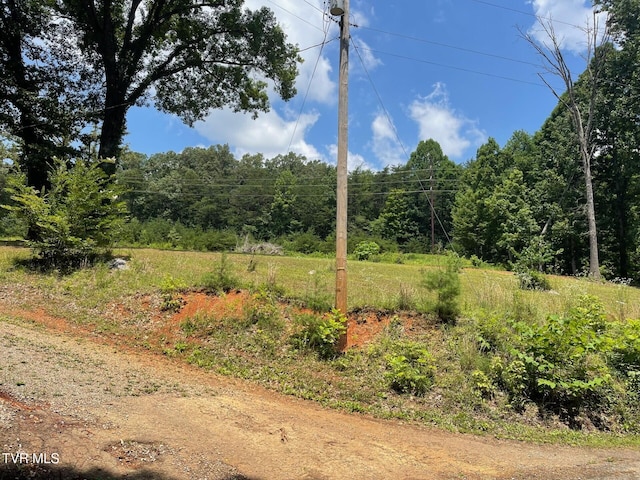 215 Buckingham Rd, Johnson City, TN 37615 - photo 2