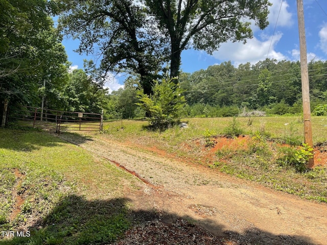 215 Buckingham Rd, Johnson City, TN 37615 - photo 1