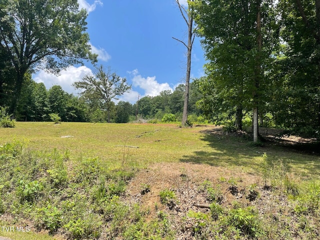 215 Buckingham Rd, Johnson City, TN 37615 - photo 3