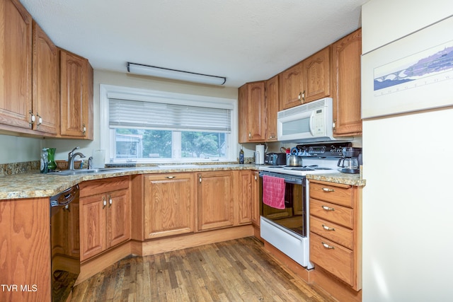 kitchen featuring light wood-type flooring, white appliances, brown cabinetry, and a sink