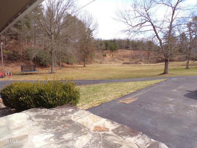 view of yard featuring a trampoline