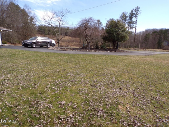 view of yard with driveway