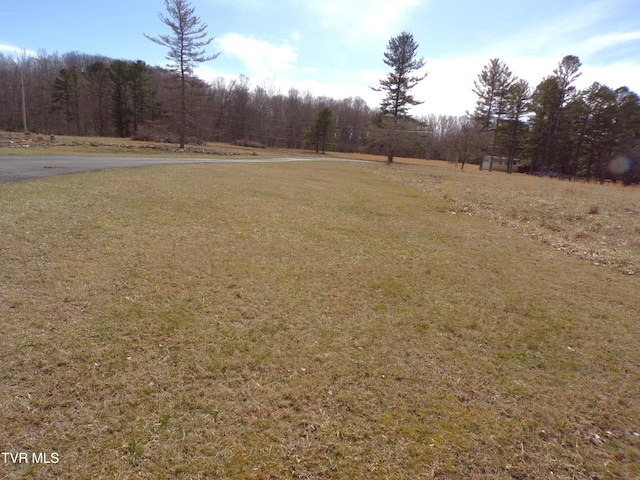 view of yard with a view of trees