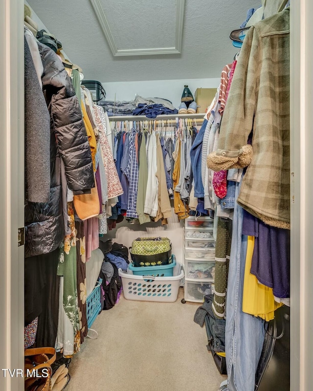 spacious closet with carpet flooring and attic access