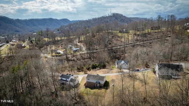 birds eye view of property with a view of trees and a mountain view