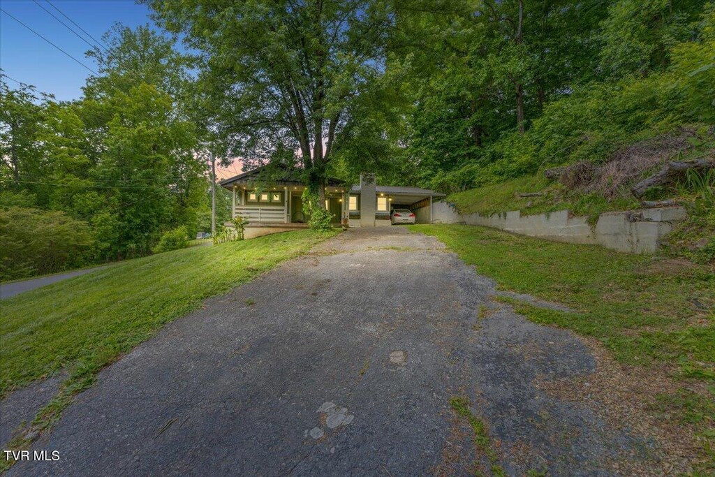 131 Greenlee Rd, Johnson City, TN 37601 - photo 1