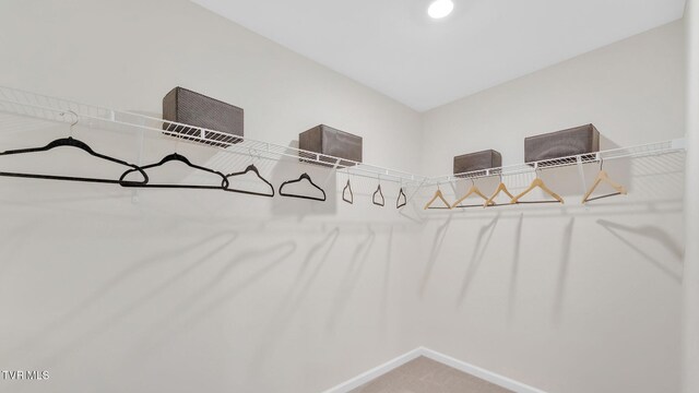 1807 Fox Meadows Cir, Bluff City, TN 37618 - spacious closet with carpet floors