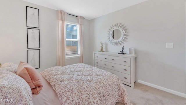 1807 Fox Meadows Cir, Bluff City, TN 37618 - bedroom with light carpet and baseboards