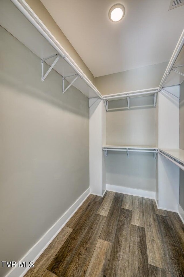 walk in closet featuring wood finished floors