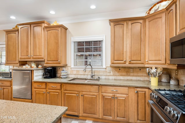 kitchen with a sink, light stone countertops, appliances with stainless steel finishes, and a healthy amount of sunlight