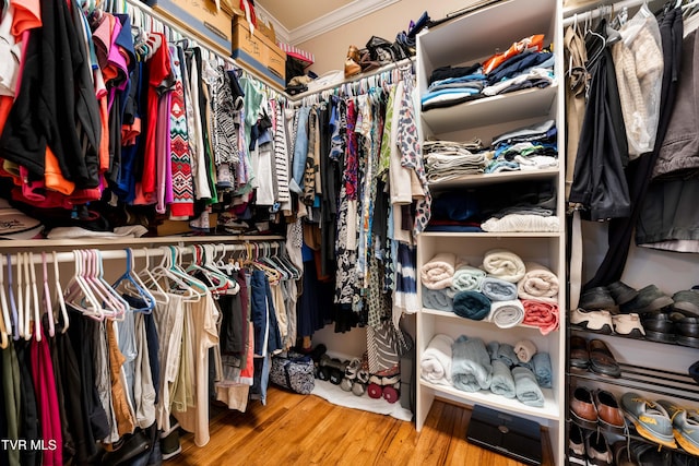 walk in closet featuring wood finished floors