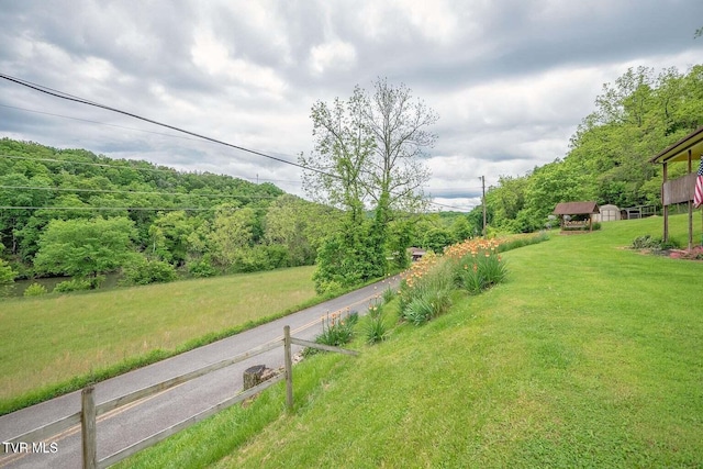 view of yard with a wooded view