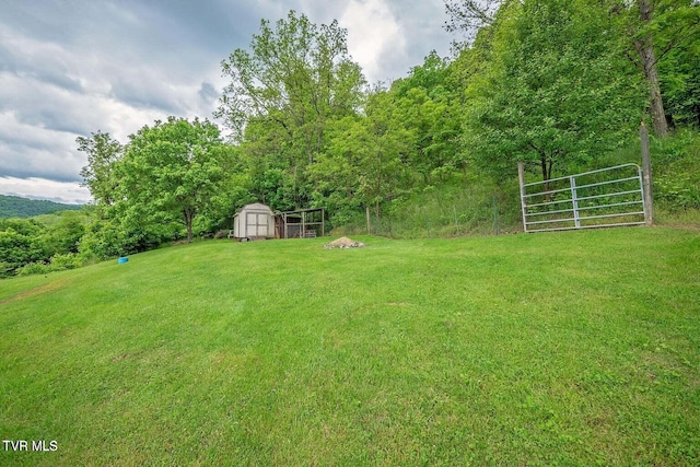 view of yard with an outbuilding, a gate, and a shed