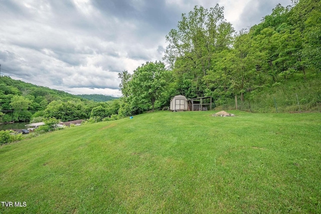 view of yard featuring a storage shed, an outdoor structure, and a view of trees